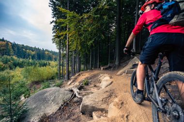 Sonbahar ormanda bisiklet sürme Mountainbiker
