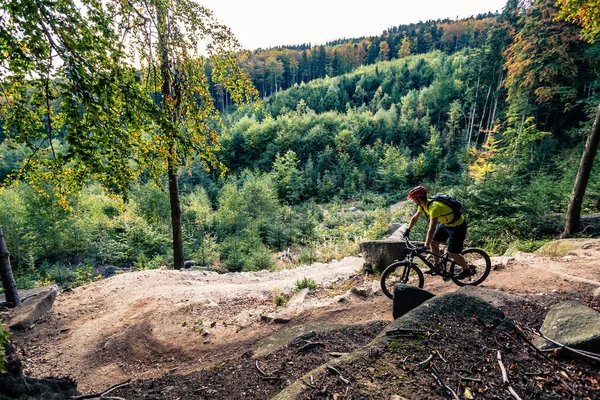 가 숲에서 자전거를 타고 산악 자전거 — 스톡 사진