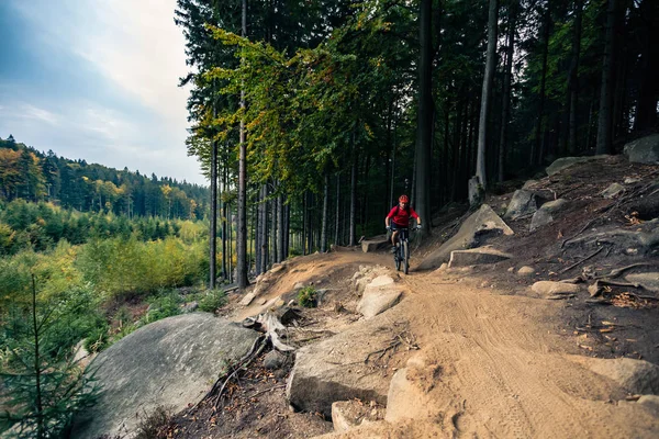 Mountain biker riding cycling in autumn forest — Stock Photo, Image