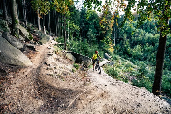 Mountain biker andar de bicicleta na floresta de outono — Fotografia de Stock