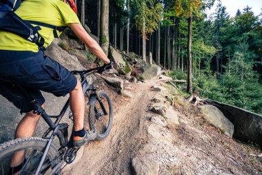Sonbahar ormanda bisiklet sürme Mountainbiker