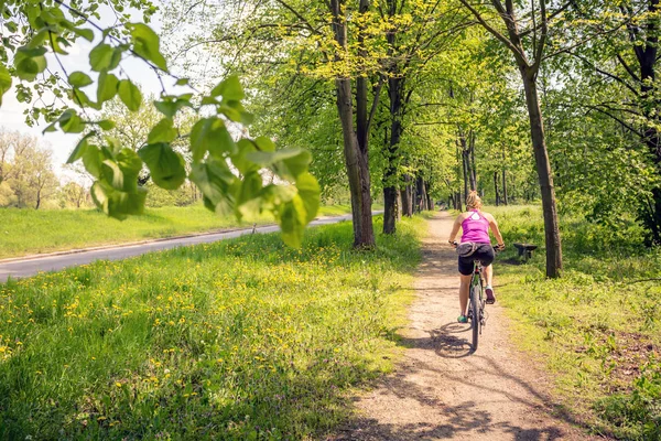 Mujer en bicicleta de montaña en el parque de la ciudad, día de verano —  Fotos de Stock