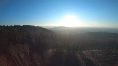 Yavaş hareket eden orman manzarası ve orman tahrip alanı, insansız hava aracı bakış açısı, birinci şahıs bakış açısı.