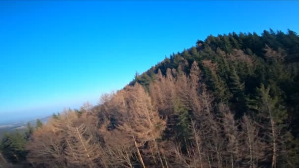 Slow Motion Luftaufnahme Des Waldes Auf Hügeln Und Bergen Drohnenblick — Stockvideo
