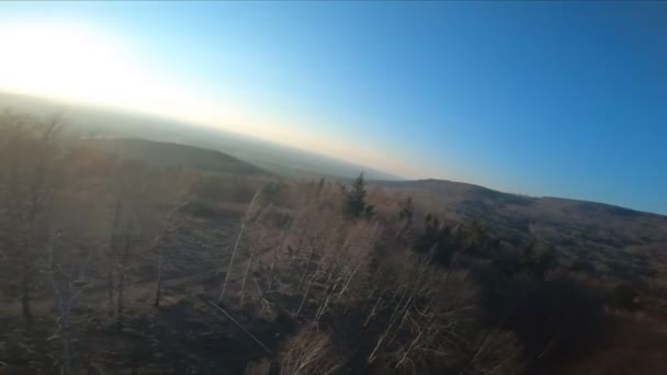 Vista Aérea Câmera Lenta Madeiras Área Desmatamento Ponto Vista Drone — Vídeo de Stock