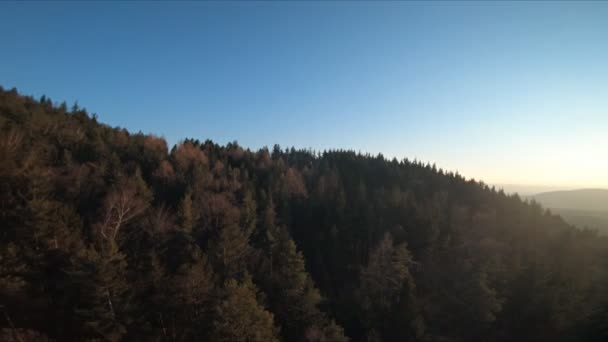 Vol lent vers l'arrière au-dessus de la cime des arbres et de la forêt, vue aérienne, point de vue de drone, vue à la première personne .