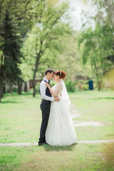 Noiva e noivo em seu dia de casamento — Fotografia de Stock