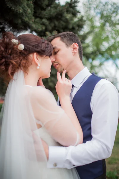 Novia y novio en el día de su boda —  Fotos de Stock