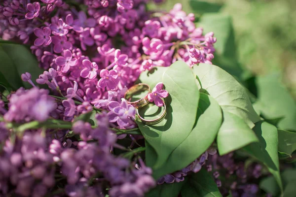 Beautiful spring lilac flowers — Stock Photo, Image