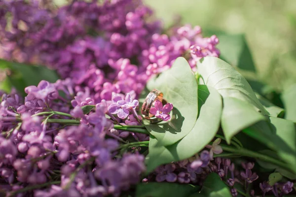 美丽的春天紫丁香花 — 图库照片