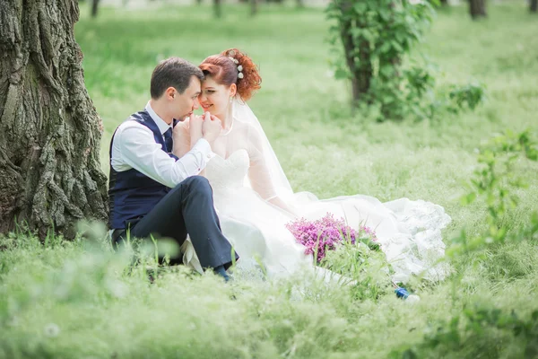 Bride and groom on their wedding day — Stock Photo, Image