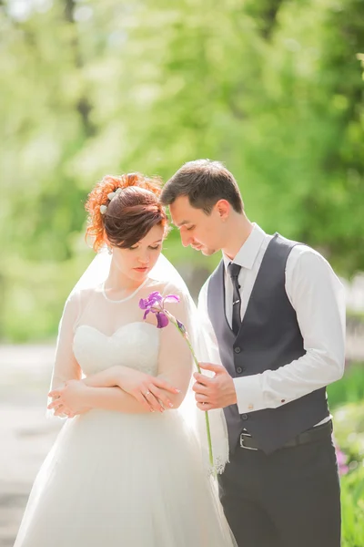 Bride and groom on their wedding day — Stock Photo, Image