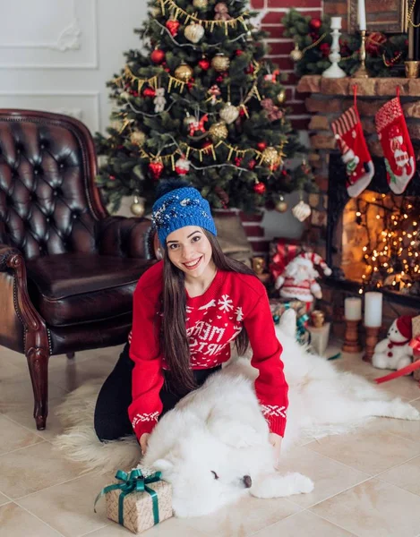 Mulher perto da árvore de Natal com cão samoyed — Fotografia de Stock