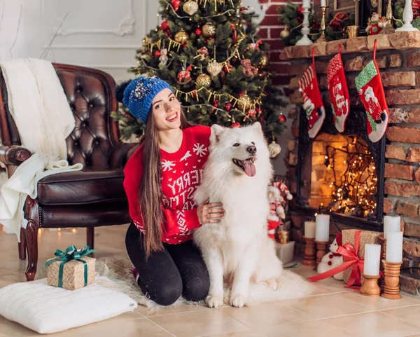 サモエド犬とクリスマス ツリーの近くの女性 — ストック写真