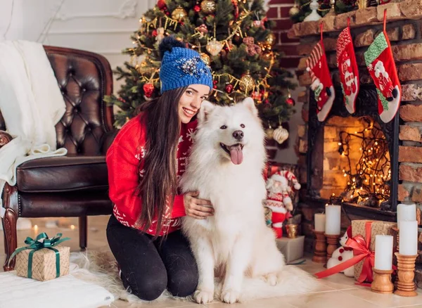 Kadının yanına samoyed köpek ile Noel ağacı — Stok fotoğraf