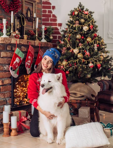 女人附近与萨摩耶犬的圣诞树 — 图库照片
