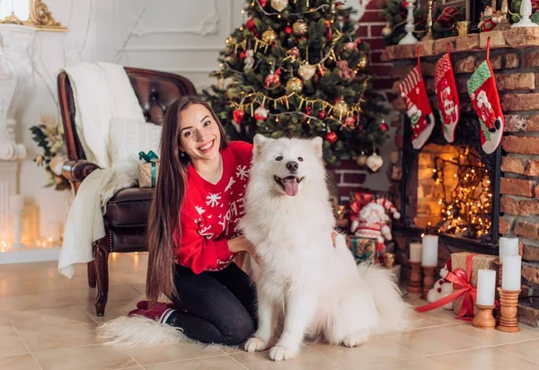 Kadının yanına samoyed köpek ile Noel ağacı — Stok fotoğraf