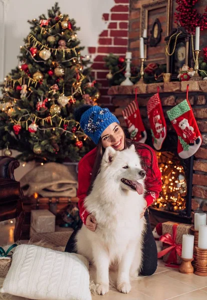 Mulher perto da árvore de Natal com cão samoyed — Fotografia de Stock