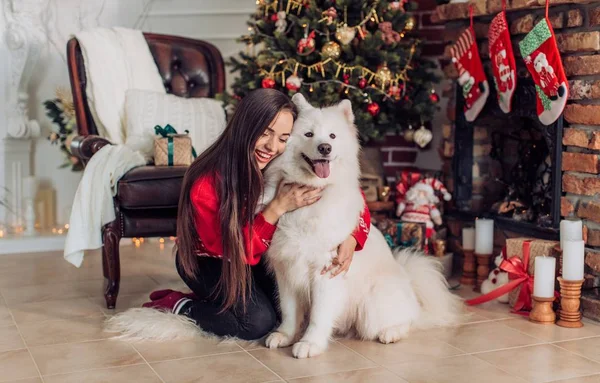 Kvinna nära julgranen med samojedvalpar hund — Stockfoto
