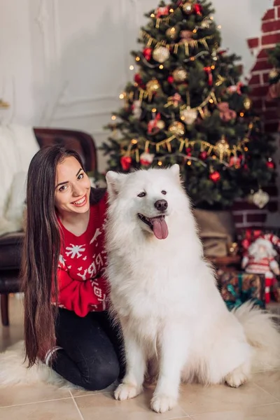 Mujer cerca del árbol de Navidad con perro samoyed —  Fotos de Stock