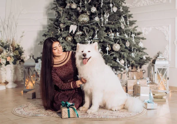 女人附近与萨摩耶犬的圣诞树 — 图库照片