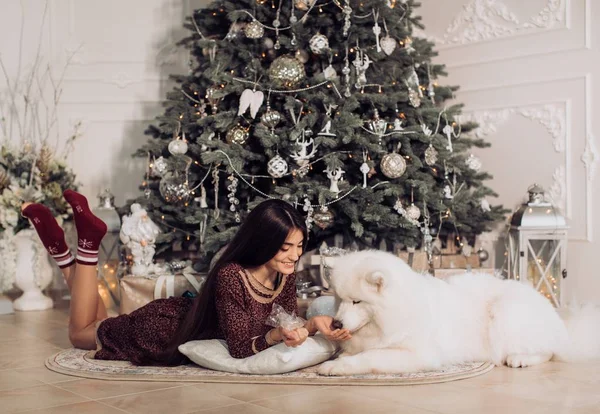 Mujer cerca del árbol de Navidad con perro samoyed —  Fotos de Stock