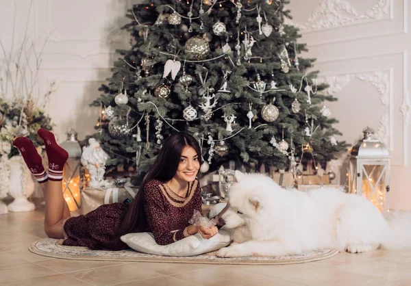 Femme près du sapin de Noël avec chien samoyed — Photo