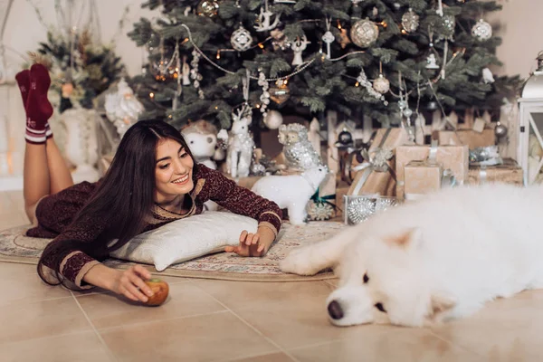 Mulher perto da árvore de Natal com cão samoyed — Fotografia de Stock