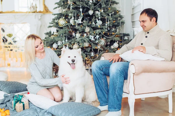  Mutlu çift samoed köpek ile portresi