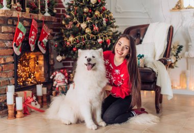 kadının yanına samoyed köpek ile Noel ağacı