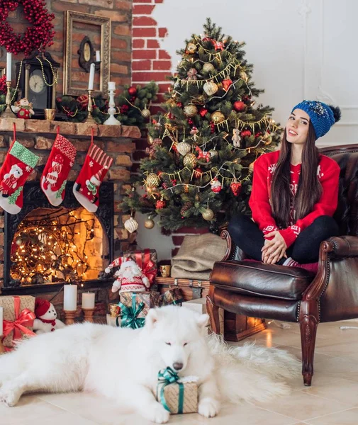 Mujer cerca del árbol de Navidad con perro samoyed —  Fotos de Stock