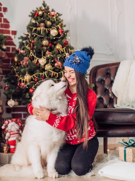 女人附近与萨摩耶犬的圣诞树 — 图库照片