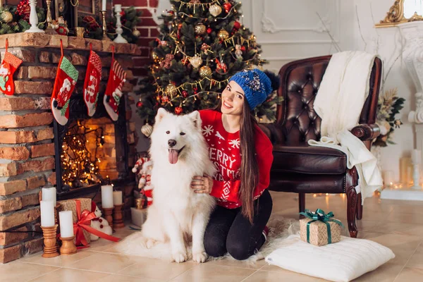 Mujer cerca del árbol de Navidad con perro samoyed —  Fotos de Stock