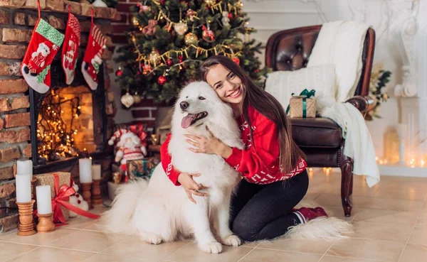 女人附近与萨摩耶犬的圣诞树 — 图库照片