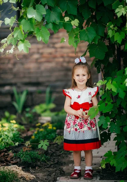 Χαριτωμένο Μικρό Ευτυχισμένο Κορίτσι Στο Φόρεμα Εξωτερική — Φωτογραφία Αρχείου