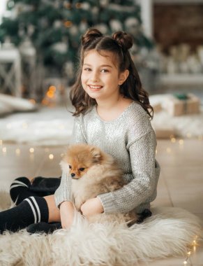 Küçük kız Pomeranya Spitz köpeğiyle Noel 'de poz veriyor.