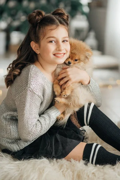 Gadis Kecil Berpose Interior Natal Dengan Pomeranian Spitz Anak Anjing — Stok Foto