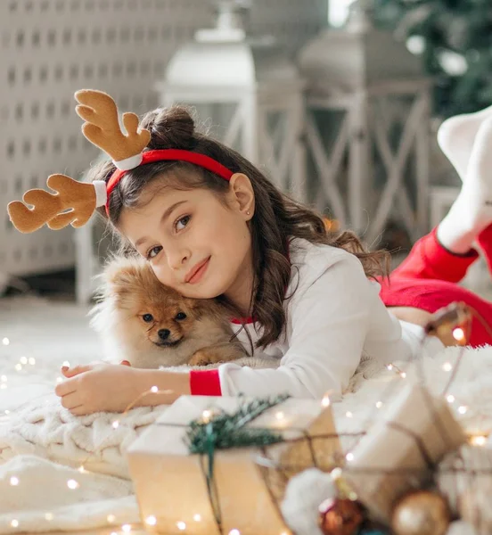 Küçük Kız Pomeranya Spitz Köpeğiyle Noel Poz Veriyor — Stok fotoğraf