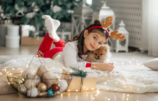 Kislány Pózol Karácsonyi Belső Pomeranian Spitz Kiskutya — Stock Fotó