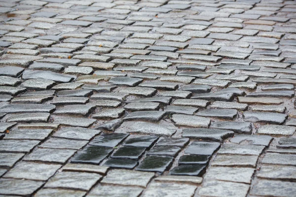 Oude natte stenen weg in Praag — Stockfoto