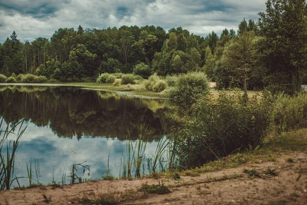 bir göl ormanda yansıman