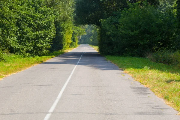 ağaçlar bir ıssız asfalt yolda kemer