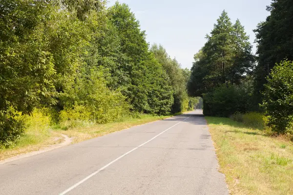 Boog van bomen op een verlaten asfaltweg — Stockfoto