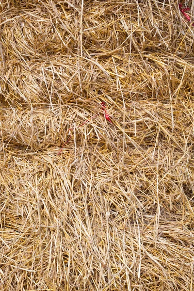 Close-up of a haystack. — Stock Photo, Image