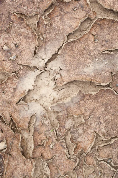 Textura del suelo agrietado seco —  Fotos de Stock