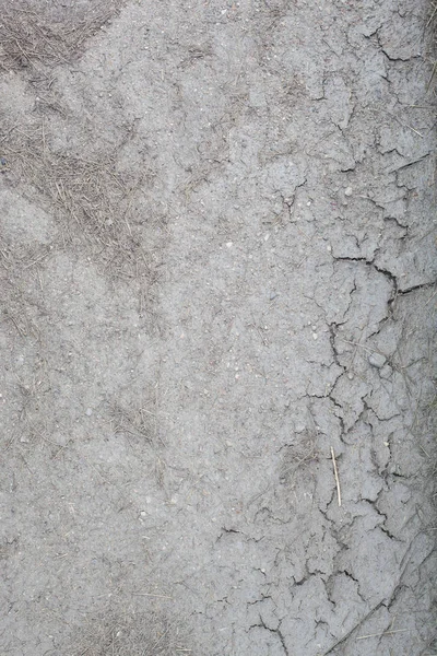 Texture of dirty dried earth — Stock Photo, Image