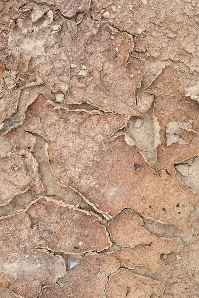 Texture du sol fissuré séché avec diverses pierres de granit — Photo