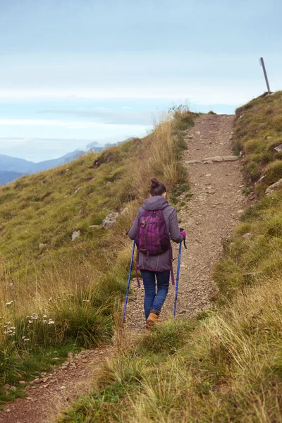 Chica turística en los Dolomitas —  Fotos de Stock