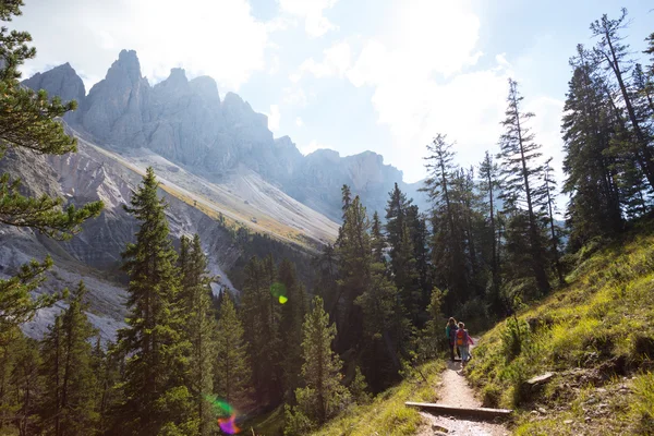 Naturpark Puez-Geißel — Stockfoto