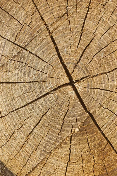 Drewniane tła — Zdjęcie stockowe